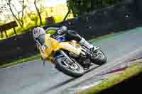 Evening Low_Mid Group Yellow Bikes